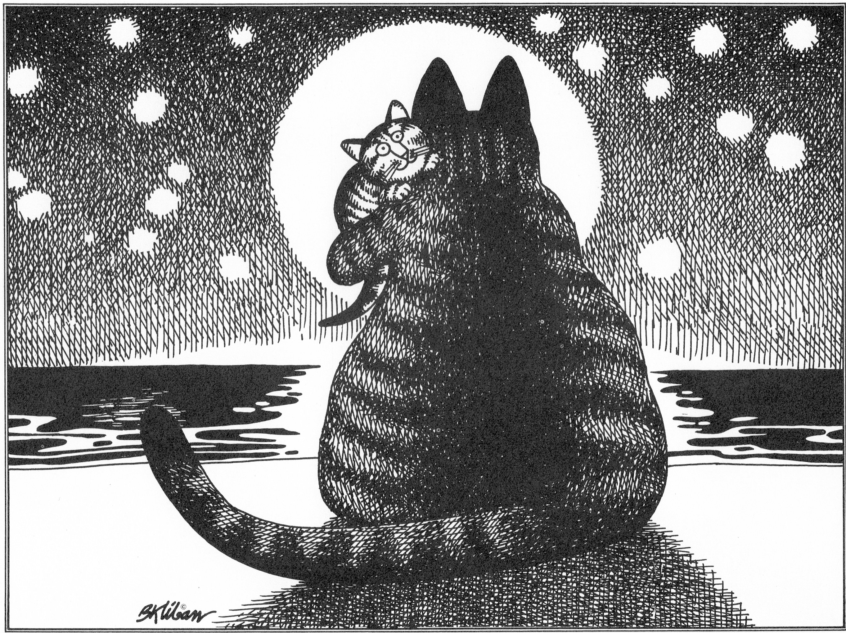 B Kliban CAT ムーンライト セレナーデ 300ピース【激レア希少品】 Kliban Cat for sale | eBay