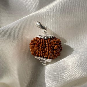 Nepali 12 Mukhi Rudraksha Silver Pendant with Lab Certificate