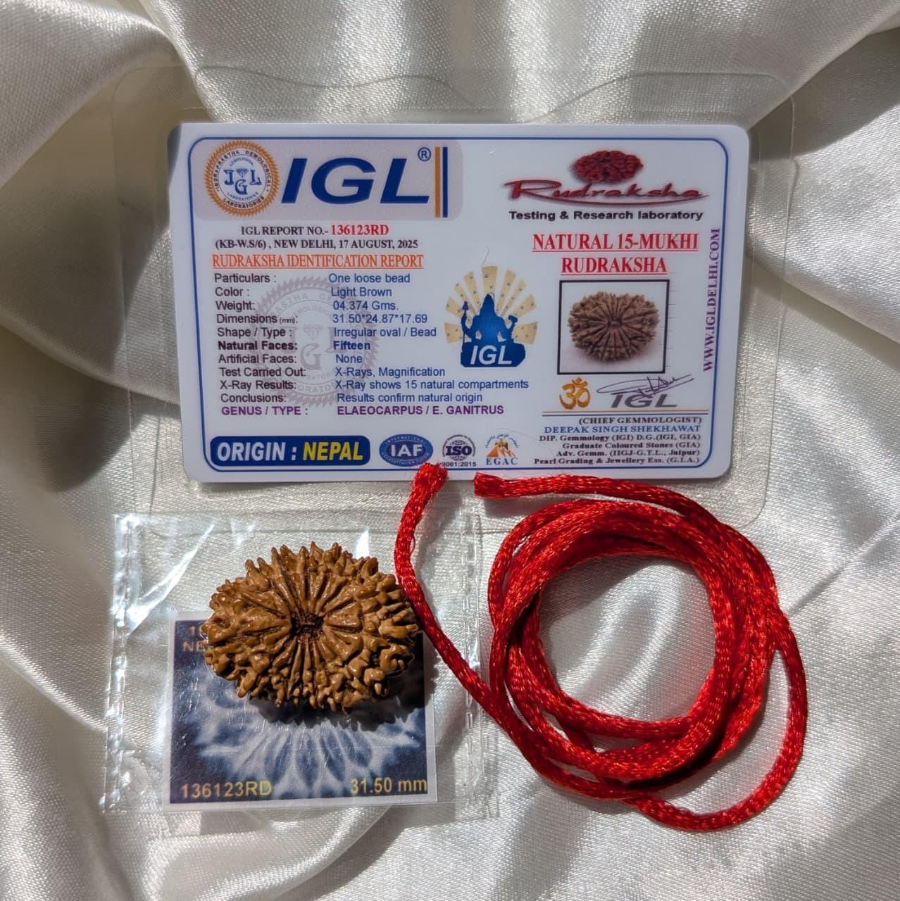 IGLラボ認定15面ネパールルドラクシャ、31mmオリジナル15面ペンダント