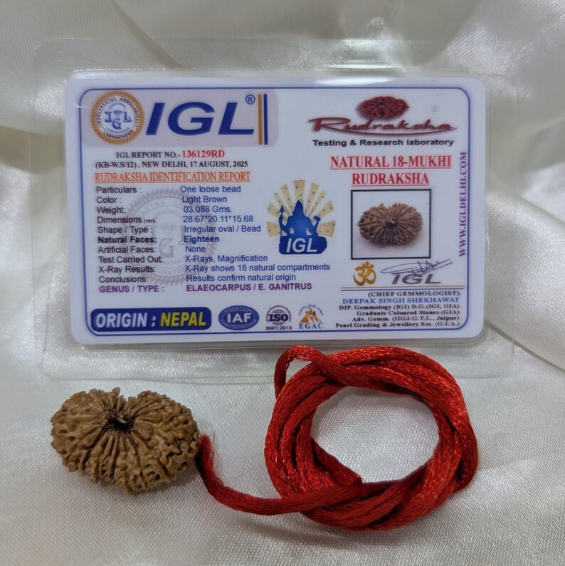 Thread Rudraksh Original 18 Mukhi Nepali Rudraksha Pendant, IGL Certified - Etsy