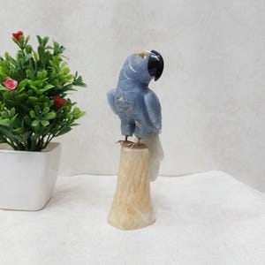 Hand Carved Jasper Parrot Figurine: Gemstone Bird Home Decor