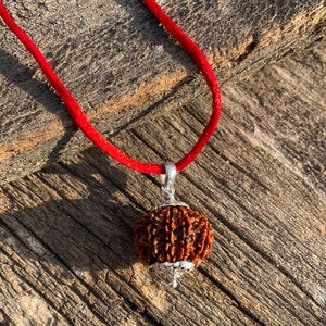 9 Mukhi Nepali Rudraksha Pendant in Pure Silver with Lab Certificate