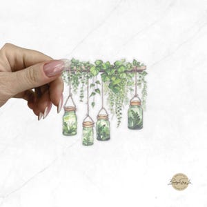 Pegatinas de plantas de interior, calcomanías transparentes troqueladas, para tarjetas de papelería, sobres, paquetes de regalo, cuatro tamaños disponibles.