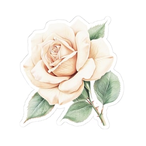 Sticker rose vintage pour bouteille d'eau, quatre tailles différentes au choix.