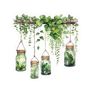 Pegatinas de plantas colgantes, calcomanía troquelada, para tarjetas de papelería, sobres, paquetes de regalo, cuatro tamaños disponibles.