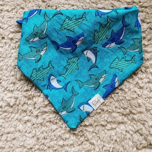 Stay Jaw-Some Shark Bandana (sizes limited)