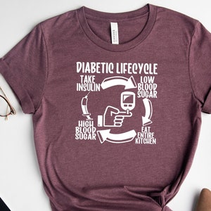 Funny Diabetes Awareness Shirt: T1D Diabetic Lifecycle Support Tee