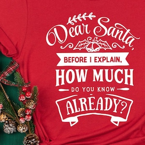 Santa Claus Shirt, Christmas Gift Shirt, Christmas Shirt, Funny Christmas Shirt, Christmas Holiday Shirt, Xmas Shirt, Funny Xmas Shirt