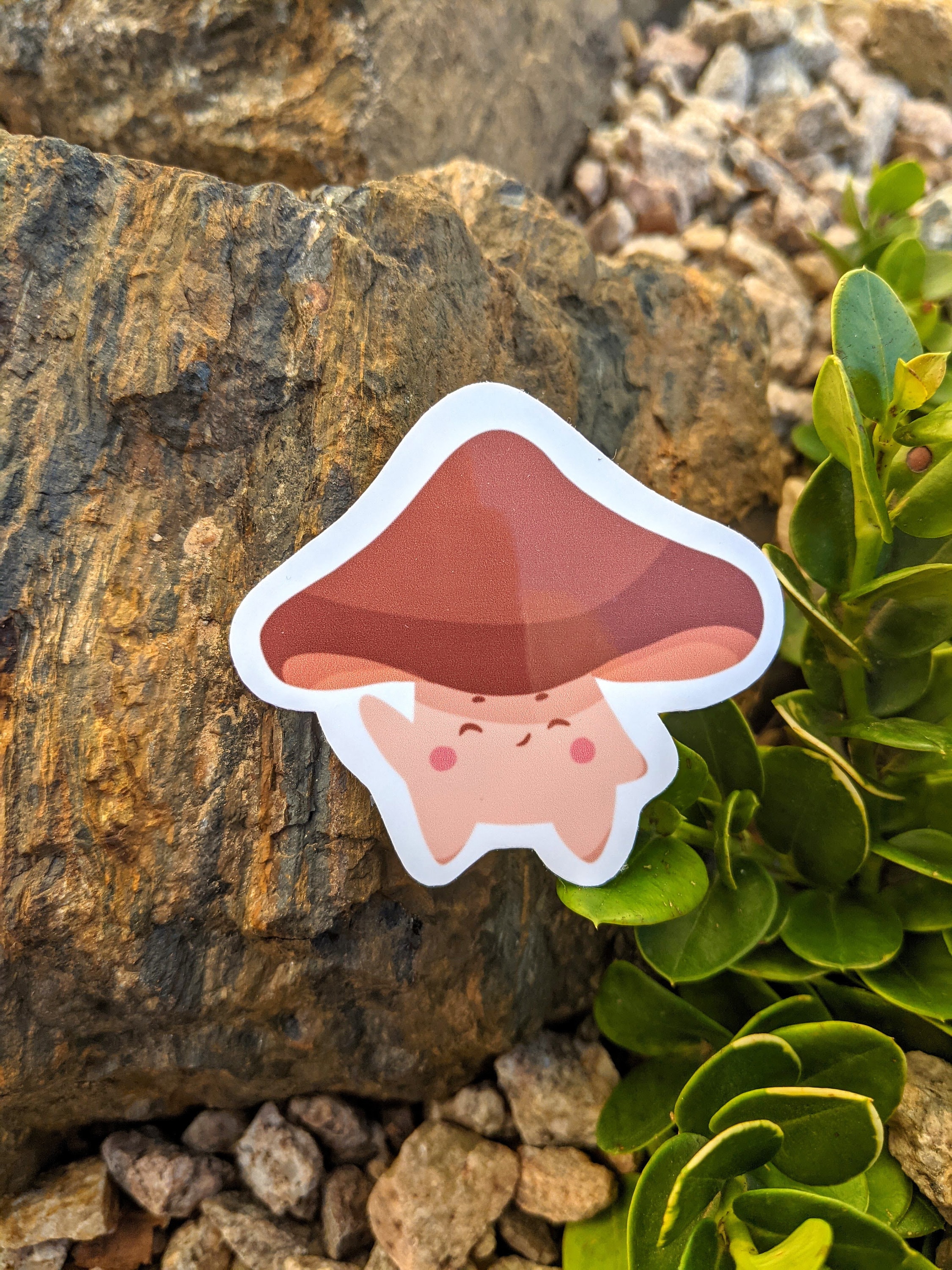 Cottage Core Mushroom Sticker Cottage Core Aesthetic | Etsy