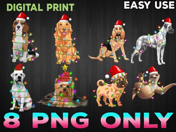 Dog Christmas PNG  Dog Lover Xmas/ Funny Christmas / Christmas Light / Santa Hat