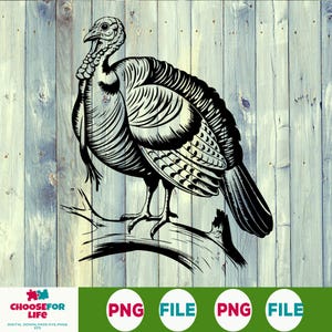 Puede incluir: Ilustración en blanco y negro de un pavo posado en una rama sobre un fondo de madera desgastada. El pavo está detallado con intrincados patrones de plumas y se alza con la cabeza alta. La imagen incluye el texto "CHOOSE FOR LIFE" y "DIGITAL DOWNLOADS.SVG,PNG,EPS".
