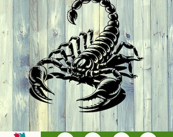 Scorpio Scorpion SVG PNG, Zodiac Sign Digital Design, Astrology Clipart File for Cricut and Sublimation, Mystical Horoscope Cut File