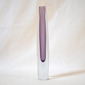 May include: A tall, slender, clear glass vase featuring a distinct, elongated, deep purple glass insert running vertically through the centre. The vase has a smooth, cylindrical shape that tapers slightly towards the top opening, showcasing a clean, transparent exterior with a solid coloured core.