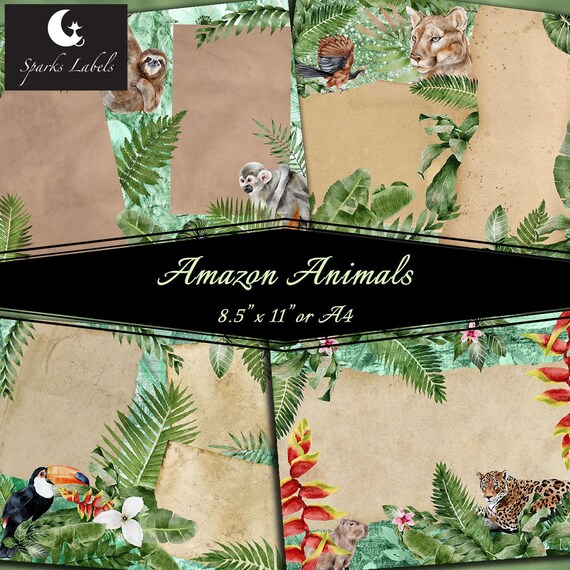 Amazon Animals Junk Journal Pages Scrapbooking Ephemera Etsy