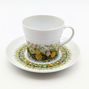 Noritake Younger Image Bimini 6923 Made In Japan Flat Tea Cup & Saucer