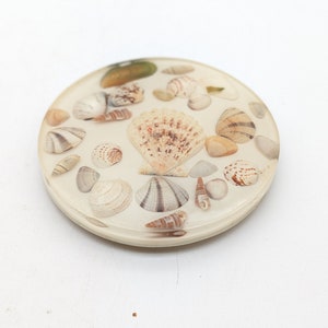 May include: A round, white coaster with a variety of seashells embedded in the surface. The shells are a mix of colors, including white, brown, and beige.