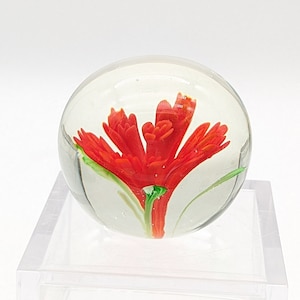 Vintage Dahlia Chrysanthemum Flower Paperweight