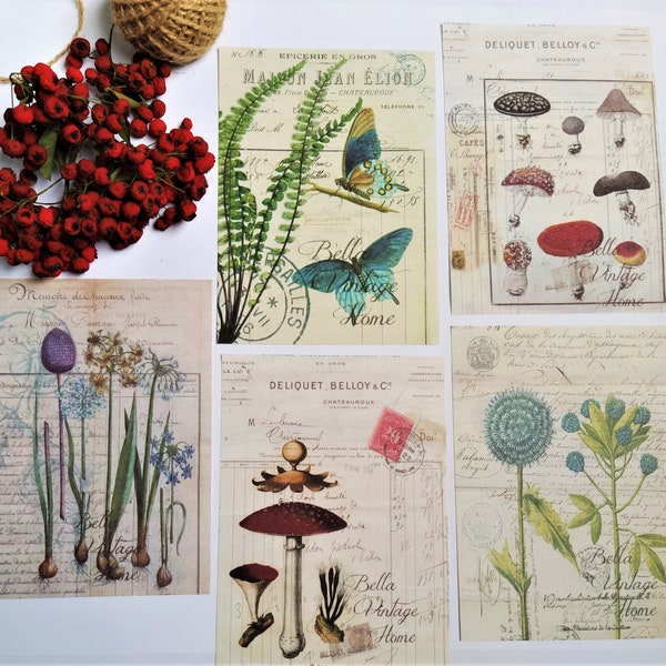 10 Mystery botanical cottagecore prints, Goblincore, Cottage core, Dark academia Junk journal kit, Penpal grab bag, Floral collage kit