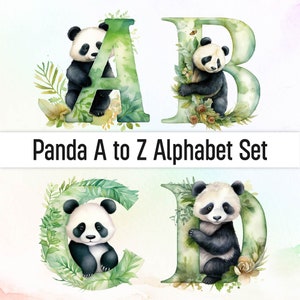 Panda Png Panda Clipart Alfabeto Png Doodle Letras Alfabeto Animal Doodle Alfabeto Png Aquarela Clipart Alfabeto Clipart