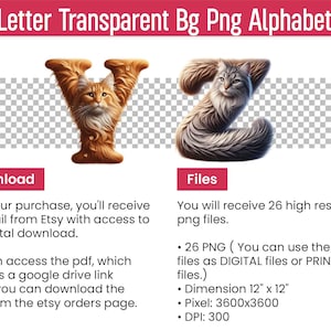 Cat Png Clipart Cat Letters Cat Font Alphabet Png Doodle Letters Png ...