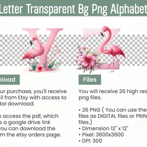 Flamingo Png Clipart Flamingo Font Alphabet Letters Flamingo Print Wallpaper Sticker Doodle Letters Watercolor Clipart Popular Png image 6
