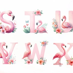 Flamingo Png Clipart Flamingo Font Alphabet Letters Flamingo Print Wallpaper Sticker Doodle Letters Watercolor Clipart Popular Png image 5