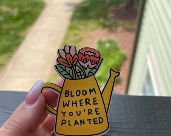 Bloom where you’re planted