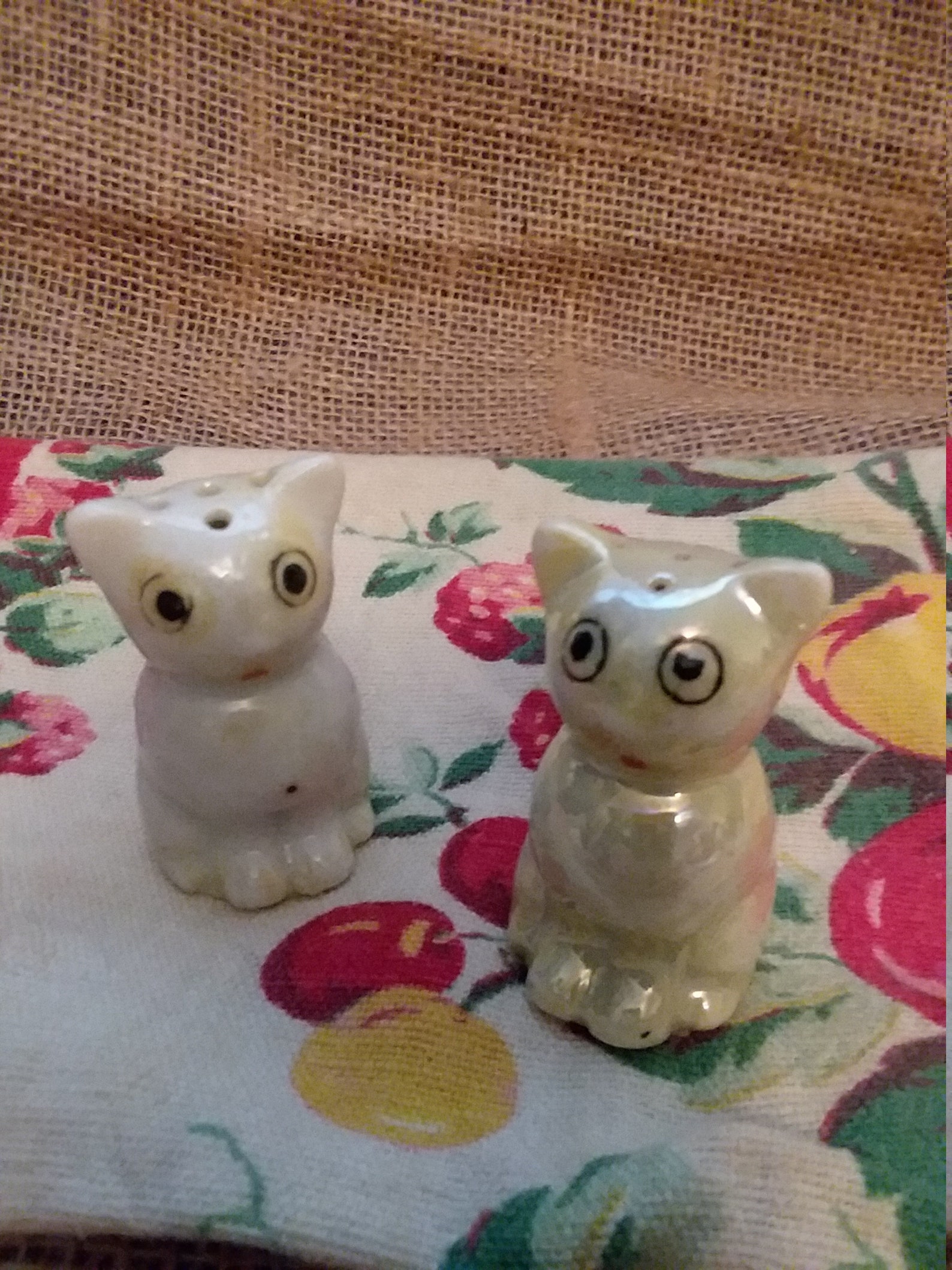 Vintage White Cat Salt and Pepper Shakers Etsy