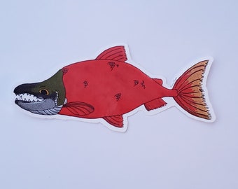 Salmon Sticker