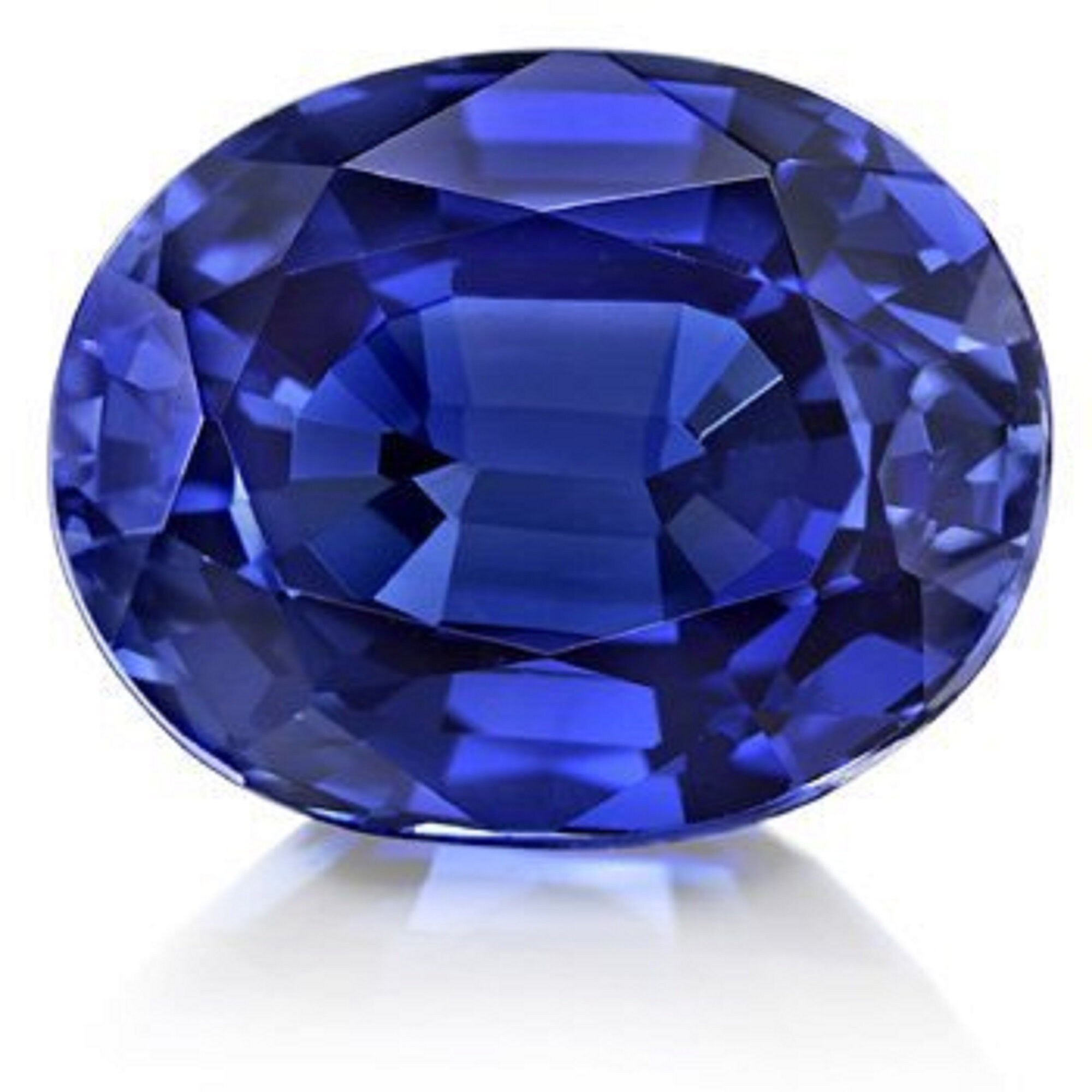 Neelam nag shop price