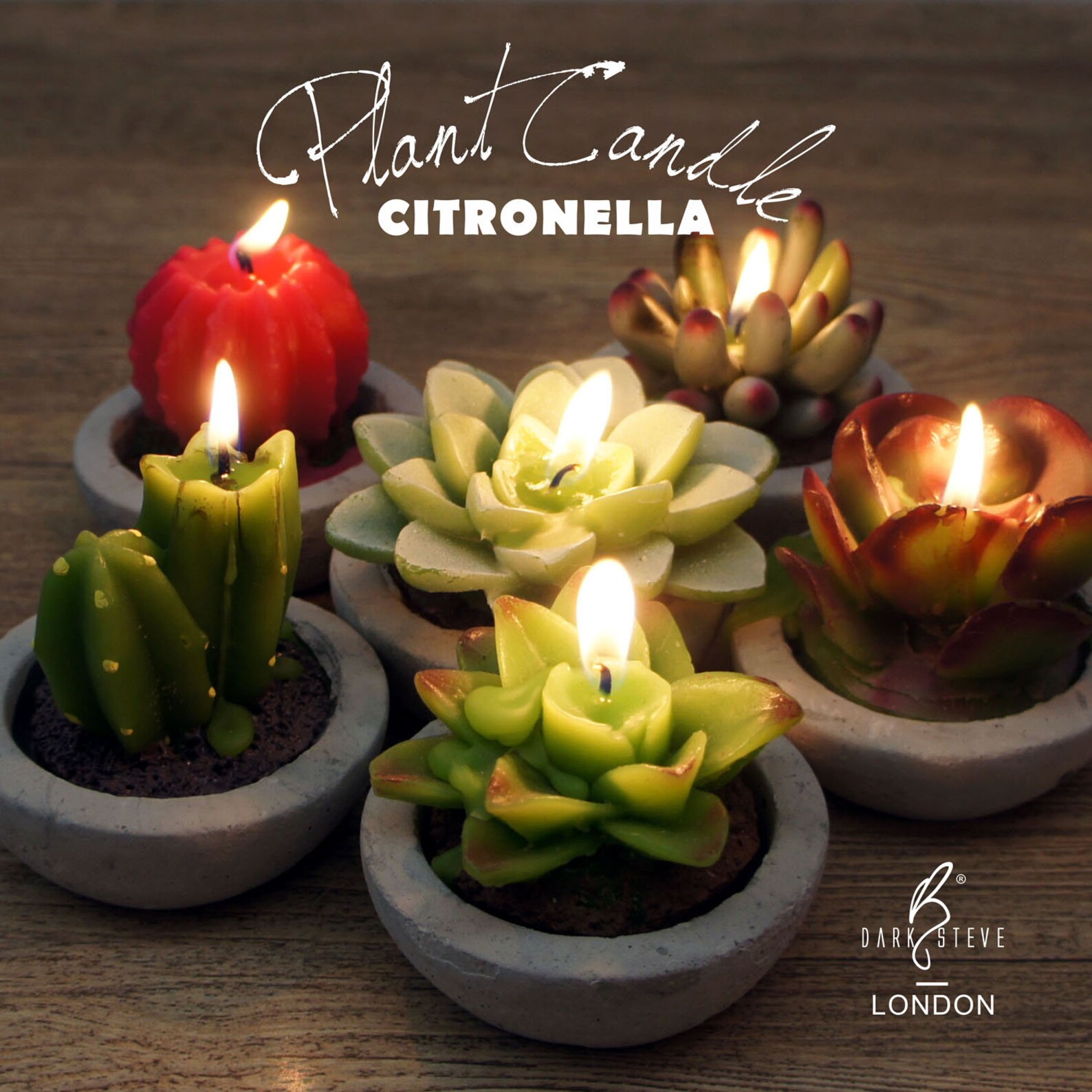 DarkSteve Decorative Plant Citronella Candle Collection 6 Etsy