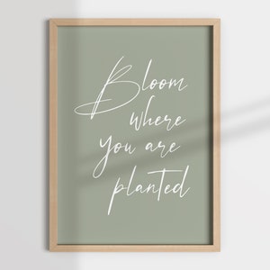 Bloom where you are planted wall art, bloom quote, minimal bloom wall printable