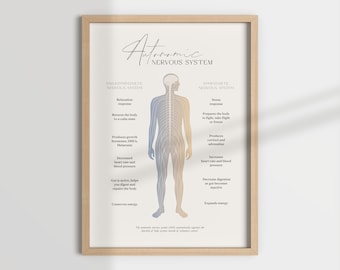Autonomic Nervous System Print, Therapy Decor (Digital Download)