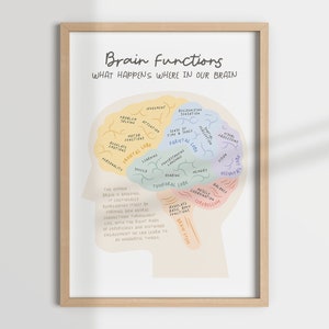 BRAIN FUNCTIONS, human brain, brain anatomy, therapy office, therapist decor, counselling office, mental health, psychologist, counsellor