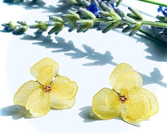 Clous d'oreilles hortensias jaunes, boucles d'oreilles fleurs véritables, bijoux fleurs séchées, accessoires botaniques, boucles d'oreilles fleurs en résine, cadeau de mariage