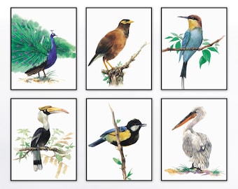 Rare Birds Watercolor Animal Painting Wall Art Posters Modern Home Decorations