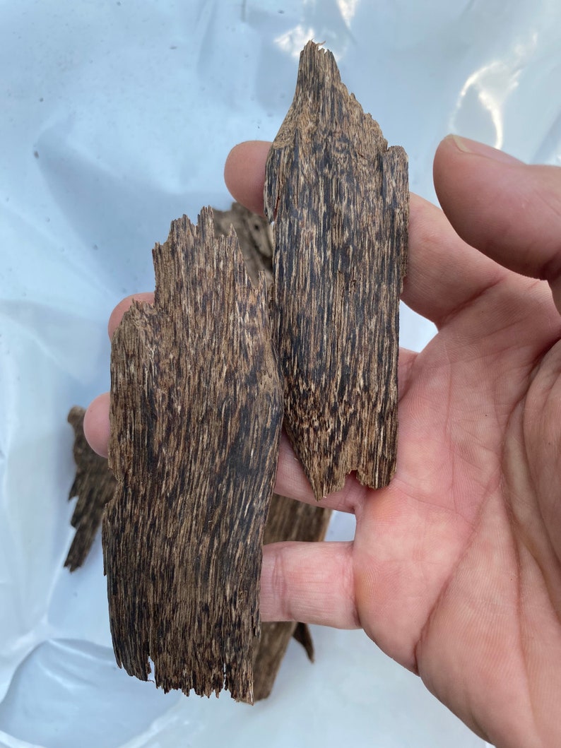 Agarwood Chips Grade AAA Natural Agarwood Chip vietnamese Etsy India