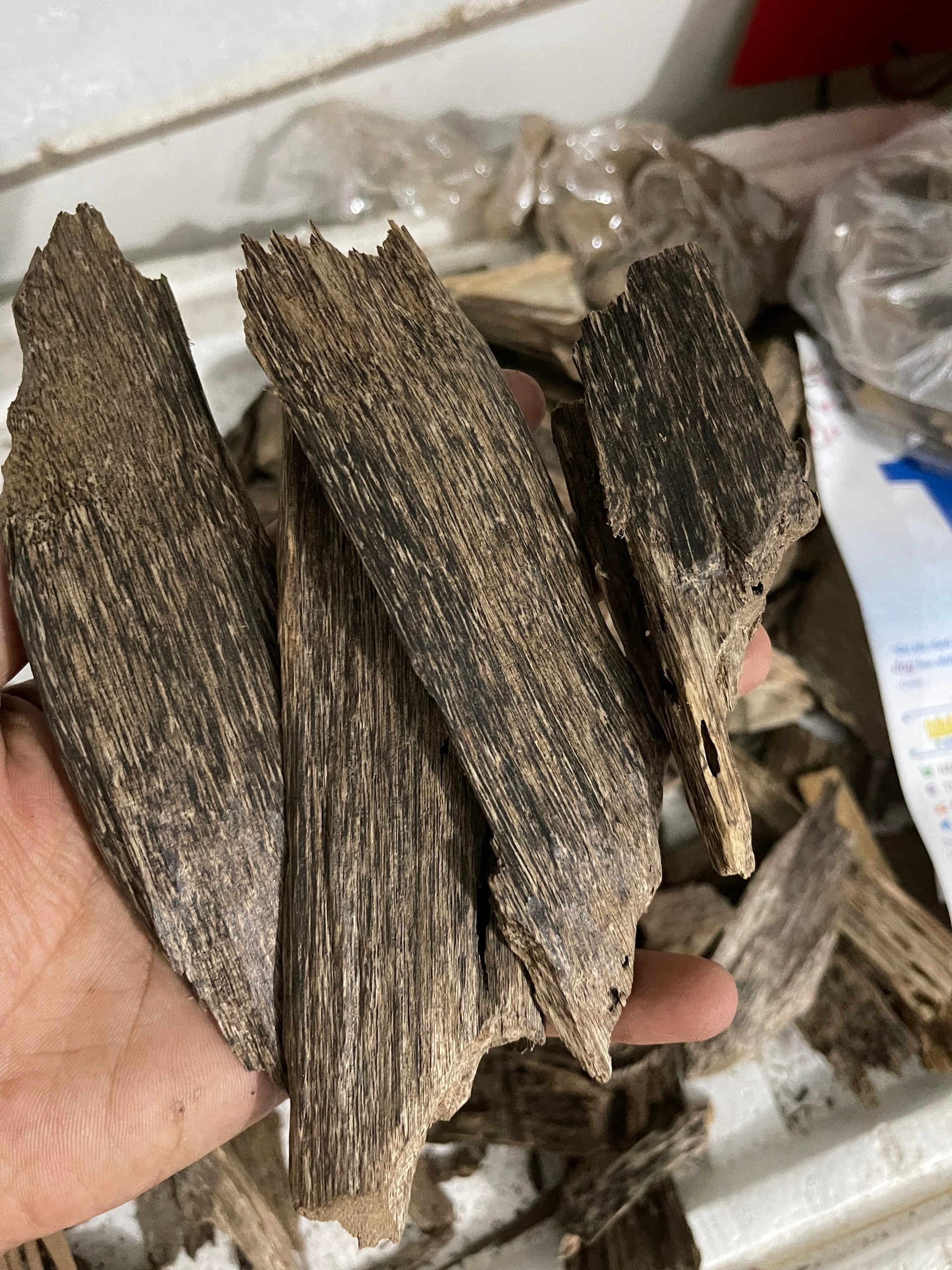 Agarwood Chips Grade AAA Natural Agarwood Chip vietnamese Etsy India