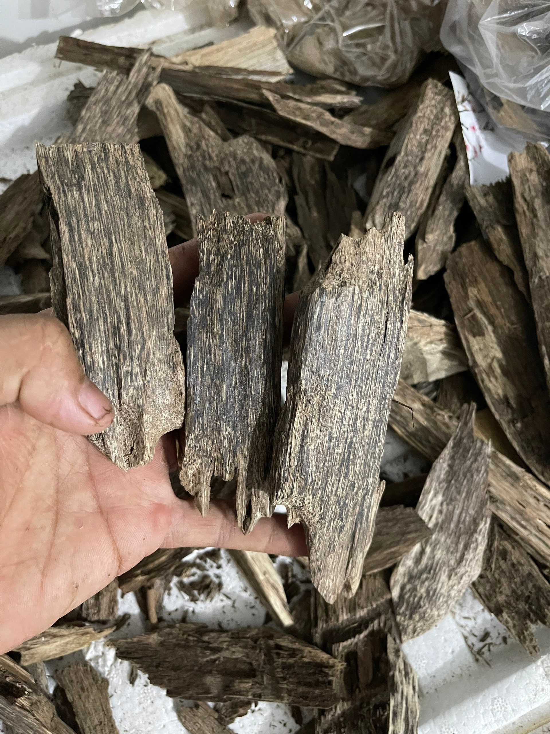 Agarwood Chips Grade AAA Natural Agarwood Chip vietnamese Etsy India