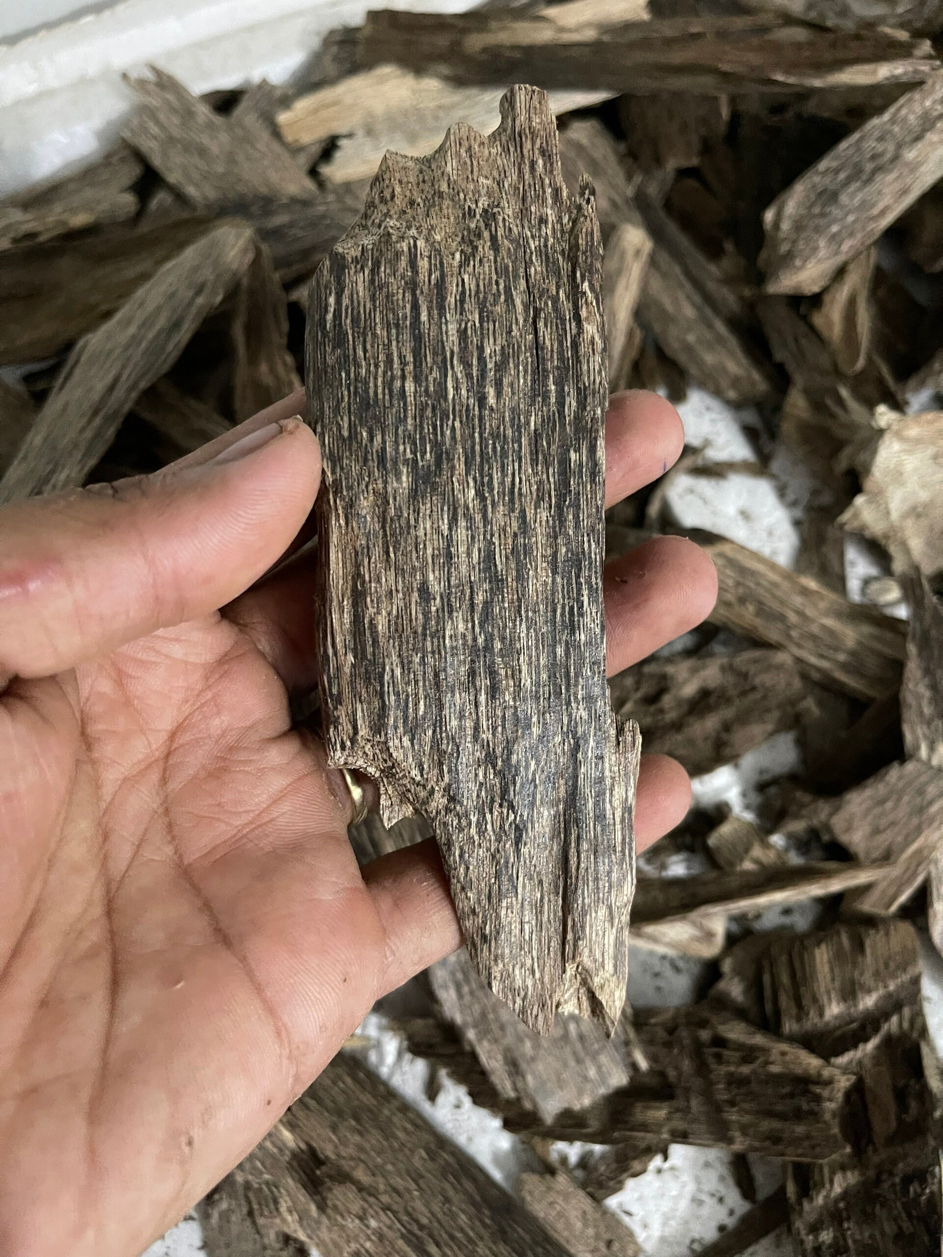 Agarwood Chips Grade AAA Natural Agarwood Chip vietnamese Etsy India