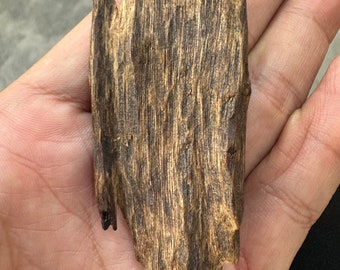 Ky Nam Piece , Super King Agarwood , Ky Nam From Vietnamese, Collect Agarwood