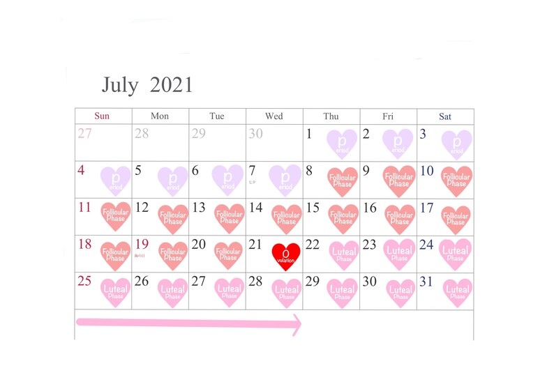 Op de afbeelding: Een kalender voor juli 2021 met de focus op de menstruatiecyclus. Het witte raster toont roze harticonen die verschillende fasen aangeven. Het woord "ovulatie" staat op de 21e.