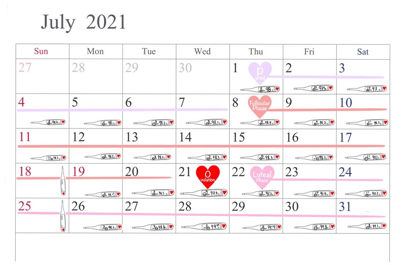 Op de afbeelding: Een kalender voor juli 2021 met data en thermometerstanden. De kalender bevat roze en paarse lijnen en hartpictogrammen. De tekst bevat "Follikel Fase", "Ovulatie" en "Luteale Fase".