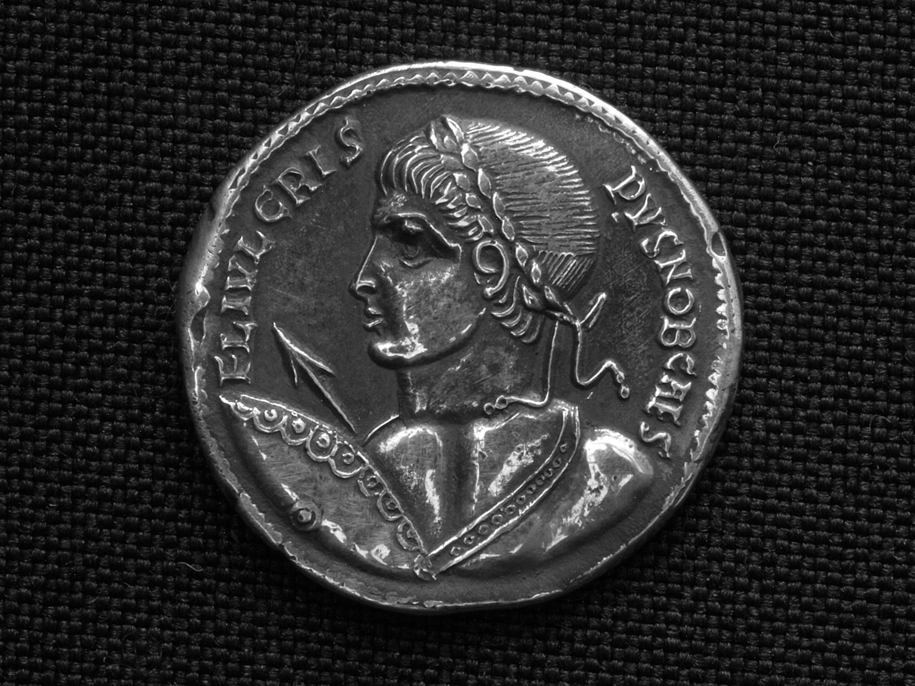 銀貨「ローマ皇帝フラウィウス・ユリウス・クリスプスのデナリウス」。本物のコインから鋳造された。