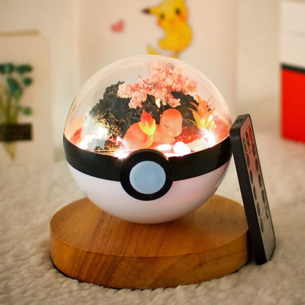 Cadeaux pour lui Terrarium Pokemon Sleepy Salamèche Terrarium Pokeball Salamèche Pokemon go Meilleurs cadeaux Pokemon pour enfants