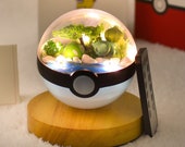 Pokemon Terrarium Pokeball Gifts For Him Sleepy Bulbasaur Terrarium Pokeball Charmander gifts Pokemon go Best Pokemon Gifts For Kids