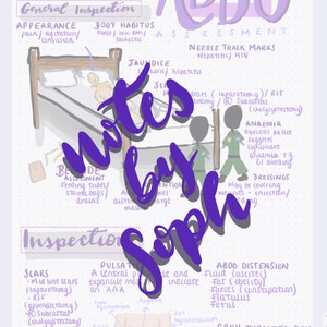 May include: Handwritten notes on a purple and white page with the heading "Abdominal Examination" and the text "ABDO ASSESSMENT". The notes include medical terms such as "laparotomy", "cholycystectomy", "anaemia", "jaundice", "grey turner's sign", and "cullen's sign".