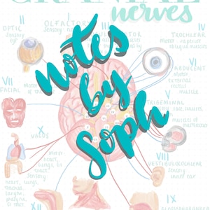 Cranial Nerves Digital Notes