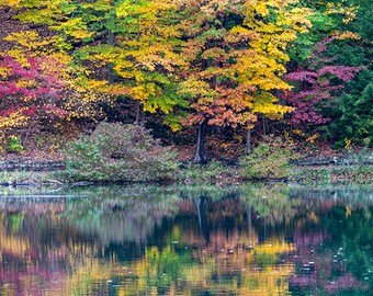 Fall Color Reflection, Fine Art Photography, Wall Art