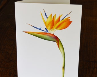 Strelitzia reginae greeting card